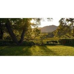 Vigoro Westbrook 36 in. x 48 in. Black Steel Fence Panel 27 Vigoro Westbrook 36 in. x 48 in. Black Steel Fence Panel -Vigoro sales Store black vigoro garden fencing 860329 fa 1000