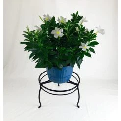 Vigoro 8 in. Black Metal Indoor Plant Stand 9 Vigoro 8 in. Black Metal Indoor Plant Stand -Vigoro sales Store black vigoro plant stands 51470 c3 1000