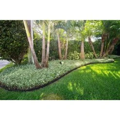 Vigoro EcoBorder 4 ft. Black Rubber Landscape Edging (6-Pack) -Vigoro sales Store black vigoro rubber edging ecobrd blk 6pk 44 1000