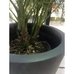 KANTE 16 in. W Round Charcoal Lightweight Concrete/Fiberglass Indoor Outdoor Elegant Bowl Planter -Vigoro sales Store charcoal kante plant pots osc0051b c60121 fa 1000