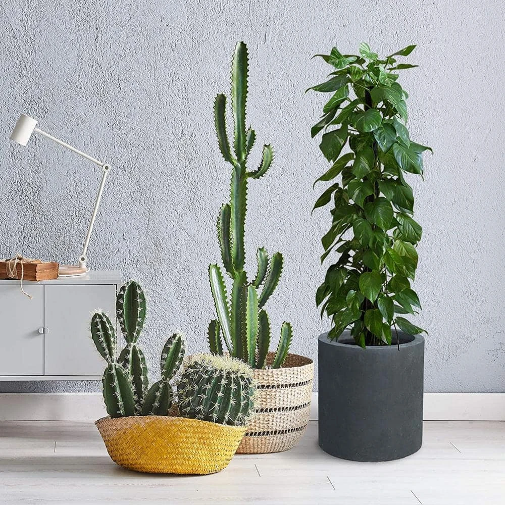 KANTE 15.8 in. x 12.9 in. and 9.8 in. W Round Charcoal Concrete/Fiberglass Indoor Outdoor Elegant Planters 6 KANTE 15.8 in. x 12.9 in. and 9.8 in. W Round Charcoal Concrete/Fiberglass Indoor Outdoor Elegant Planters - Image 4