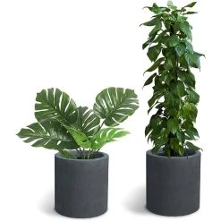 KANTE 15.8 in. x 12.9 in. and 9.8 in. W Round Charcoal Concrete/Fiberglass Indoor Outdoor Elegant Planters 9 KANTE 15.8 in. x 12.9 in. and 9.8 in. W Round Charcoal Concrete/Fiberglass Indoor Outdoor Elegant Planters -Vigoro sales Store charcoal kante plant pots osc0119abc c60121 4f 1000