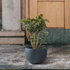 KANTE 8 in. H Charcoal Concrete and Fiberglass Round Bowl Planter, Outdoor Indoor Large Planters Pots with Drainage -Vigoro sales Store charcoal kante plant pots rc0049a c60121 4f 1000