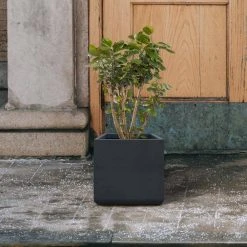 KANTE 11.81 x 11.81 in. Square Charcoal Lightweight Concrete and Weather Resistant Fiberglass Planter w/Drainage Hole -Vigoro sales Store charcoal kante plant pots rf0221b c60121 44 1000