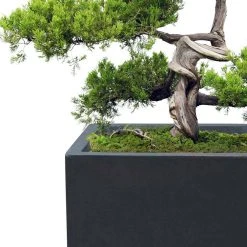 KANTE 31.4" & 23.6"L Rectangular Charcoal Finish Lightweight Concrete Long Planters w/Drainage Hole Set of 2, Outdoor/Indoor -Vigoro sales Store charcoal kante plant pots rf0264ac c60121 4f 1000