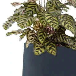 KANTE 10.63 in. x 13.78 in. Round Charcoal Lightweight Concrete and Weather Resistant Fiberglass Planter w/Drainage Hole -Vigoro sales Store charcoal kante plant pots rf2015023c c60121 1f 1000