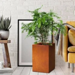 KANTE 16 in. H Faux Weathering Steel Finish Concrete Square, Modern Outdoor/Indoor Lightweight Planter Pot with Drainage Hole 17 KANTE 16 in. H Faux Weathering Steel Finish Concrete Square, Modern Outdoor/Indoor Lightweight Planter Pot with Drainage Hole -Vigoro sales Store faux weathering steel kante plant pots rf0007b c91942 76 1000