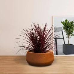 KANTE 16 in. Dia. Round Iron Oxide Concrete Bowl Planter, Outdoor Indoor Large Planter Pot with Drainage Hole 15 KANTE 16 in. Dia. Round Iron Oxide Concrete Bowl Planter, Outdoor Indoor Large Planter Pot with Drainage Hole -Vigoro sales Store iron oxide kante plant pots rc0051b c80621 1f 1000