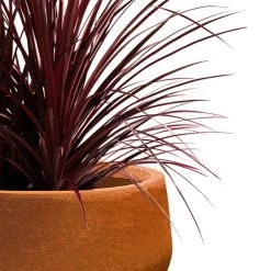 KANTE 16 in. Dia. Round Iron Oxide Concrete Bowl Planter, Outdoor Indoor Large Planter Pot with Drainage Hole 17 KANTE 16 in. Dia. Round Iron Oxide Concrete Bowl Planter, Outdoor Indoor Large Planter Pot with Drainage Hole -Vigoro sales Store iron oxide kante plant pots rc0051b c80621 fa 1000
