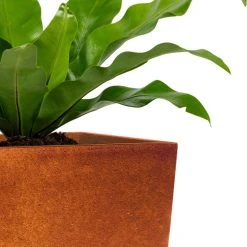 KANTE 28 in. H Iron Oxide Lightweight Concrete Tapered Planter with Drainage Hole, Large Outdoor/Indoor Tall Square Planter -Vigoro sales Store iron oxide kante plant pots rf0229a s c80621 31 1000