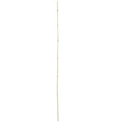 Vigoro 5 ft. Natural Bamboo Stake -Vigoro sales Store natural bamboo beige vigoro tomato cages bb5vg 1f 1000