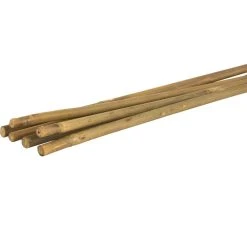 Vigoro Bamboo 6 ft. Natural Stake -Vigoro sales Store natural bamboo beige vigoro tomato cages bb6vg 4f 1000
