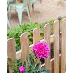 Vigoro 37.1 in. H x 45.35 in. W Cedar Garden Fence Panel -Vigoro sales Store natural cedar wood vigoro garden fencing 860664 4f 1000