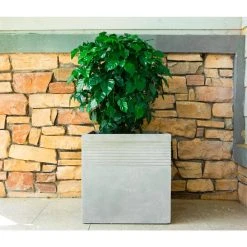 KANTE 15 in. W Square Natural Concrete/Fiberglass Indoor Outdoor Elegant Planter -Vigoro sales Store natural concrete kante plant pots osf0128b c80021 76 1000