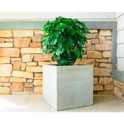 KANTE 15 in. W Square Natural Concrete/Fiberglass Indoor Outdoor Elegant Planter -Vigoro sales Store natural concrete kante plant pots osf0128b c80021 fa 1000