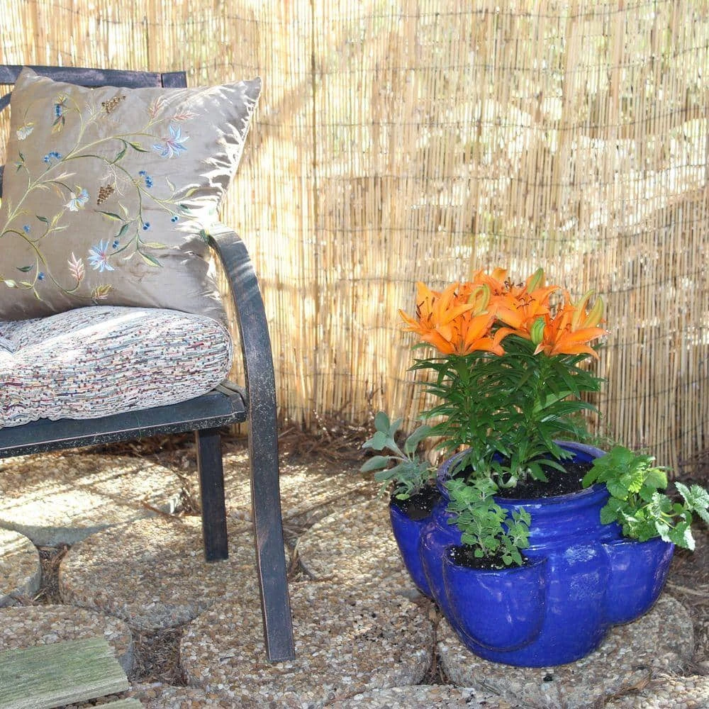 Vigoro 6 ft. H x 16 ft. W Natural Reed Garden Fencing Roll 8 Vigoro 6 ft. H x 16 ft. W Natural Reed Garden Fencing Roll - Image 6