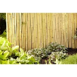 Vigoro 4 ft. H x 6 ft. W Natural Bamboo Fence 11 Vigoro 4 ft. H x 6 ft. W Natural Bamboo Fence -Vigoro sales Store natural vigoro garden fencing 4477405 c3 1000