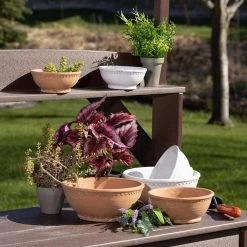 SULLIVANS Adobe Cement Dish Planter - Set of 3 -Vigoro sales Store orange sullivans plant pots cmt1218 4f 1000