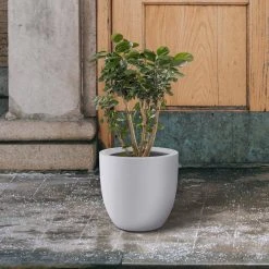 KANTE 13.39 in. x 12.6 in. Round Pure White Lightweight Concrete and Fiberglass Indoor Outdoor Planter with Drainage Hole -Vigoro sales Store pure white kante plant pots rc0152b c80011 fa 1000