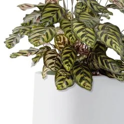 KANTE 17.3 in. H Round Pure White Concrete Planter, Outdoor Indoor Large Planter Pots Containers with Drainage Holes -Vigoro sales Store pure white kante plant pots rf2015022b c80011 4f 1000