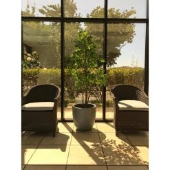 KANTE 10 in. W Round Slate Gray Concrete/Fiberglass Indoor Outdoor Elegant Planter -Vigoro sales Store slate gray kante plant pots osc0050a c60611 76 1000