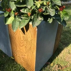 KANTE 31 in. L Timber Ridge Lightweight Concrete Modern Rectangle Outdoor Planter -Vigoro sales Store timber ridge kante plant pots rf0219b c80811 4f 1000