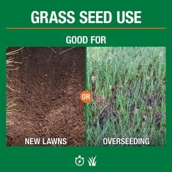 Vigoro 3 lbs. Tall Fescue Grass Seed Blend with Water Saver Seed Coating -Vigoro sales Store vigoro grass seed 25684 4f 1000