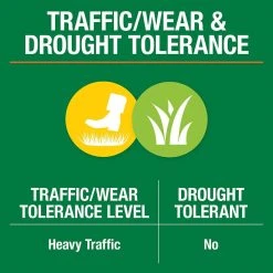 Vigoro 7 lbs. Tall Fescue Grass Seed Blend with Water Saver Seed Coating -Vigoro sales Store vigoro grass seed 25685 44 1000