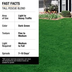 Vigoro 7 lbs. Tall Fescue Grass Seed Blend with Water Saver Seed Coating -Vigoro sales Store vigoro grass seed 25685 fa 1000