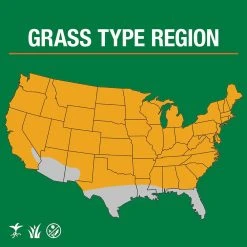 Vigoro 20 lbs. Tall Fescue Grass Seed Blend with Water Saver Seed Coating -Vigoro sales Store vigoro grass seed 25686 66 1000