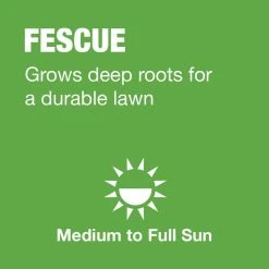 Vigoro 20 lbs. Tall Fescue Grass Seed Blend with Water Saver Seed Coating -Vigoro sales Store vigoro grass seed 25686 a0 1000