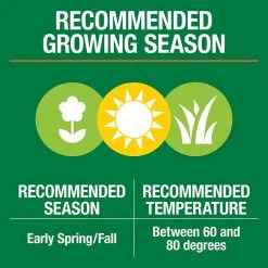 Vigoro 3 lbs. Dense Shade Grass Seed Mix with Water Saver Seed Coating -Vigoro sales Store vigoro grass seed 25689 1f 1000