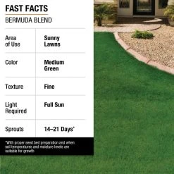 Vigoro 1 lb. Bermuda Grass Seed Blend with Water Saver Seed Coating -Vigoro sales Store vigoro grass seed 52334 1f 1000