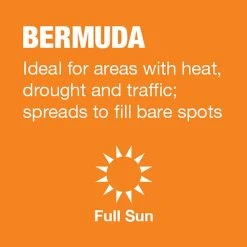 Vigoro 5 lbs. Bermuda Grass Seed Blend with Water Saver Seed Coating -Vigoro sales Store vigoro grass seed 52335 a0 1000