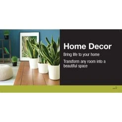 Vigoro 6 in. Grower's Choice Calathea Indoor Plant in Small White Ribbed Plastic Decor Planter (2-Pack) -Vigoro sales Store vigoro indoor plants co cal6 3 vi wh 40 1000