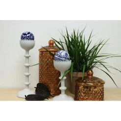 Vigoro 6 in. Grower's Choice Dracaena Indoor Plant in Small White Ribbed Plastic Decor Planter (2-Pack) -Vigoro sales Store vigoro indoor plants co jc06 3 vi wh c3 1000