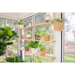 Vigoro 6 in. Golden Pothos Indoor Plant in Small White Ribbed Plastic Decor Planter (2-Pack) -Vigoro sales Store vigoro indoor plants co poth 3 vi wh 1f 1000