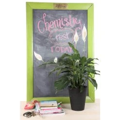 Vigoro 6 in. Peace Lily Indoor Plant in Small White Ribbed Plastic Decor Planter (2-Pack) -Vigoro sales Store vigoro indoor plants co sy06 3 vi wh c3 1000