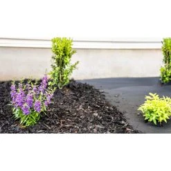 Vigoro 4 ft. x 50 ft. Point Bond Landscape Fabric -Vigoro sales Store vigoro landscape fabric nmv04050b 44 1000