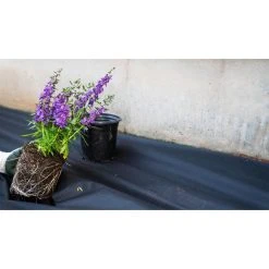 Vigoro 4 ft. x 50 ft. Point Bond Landscape Fabric -Vigoro sales Store vigoro landscape fabric nmv04050b c3 1000