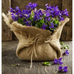 Vigoro 3 ft. x 24 ft. 100% Natural Burlap Landscape Fabric (2-Pack) -Vigoro sales Store vigoro landscape fabric nmvb0324 2pk c3 1000