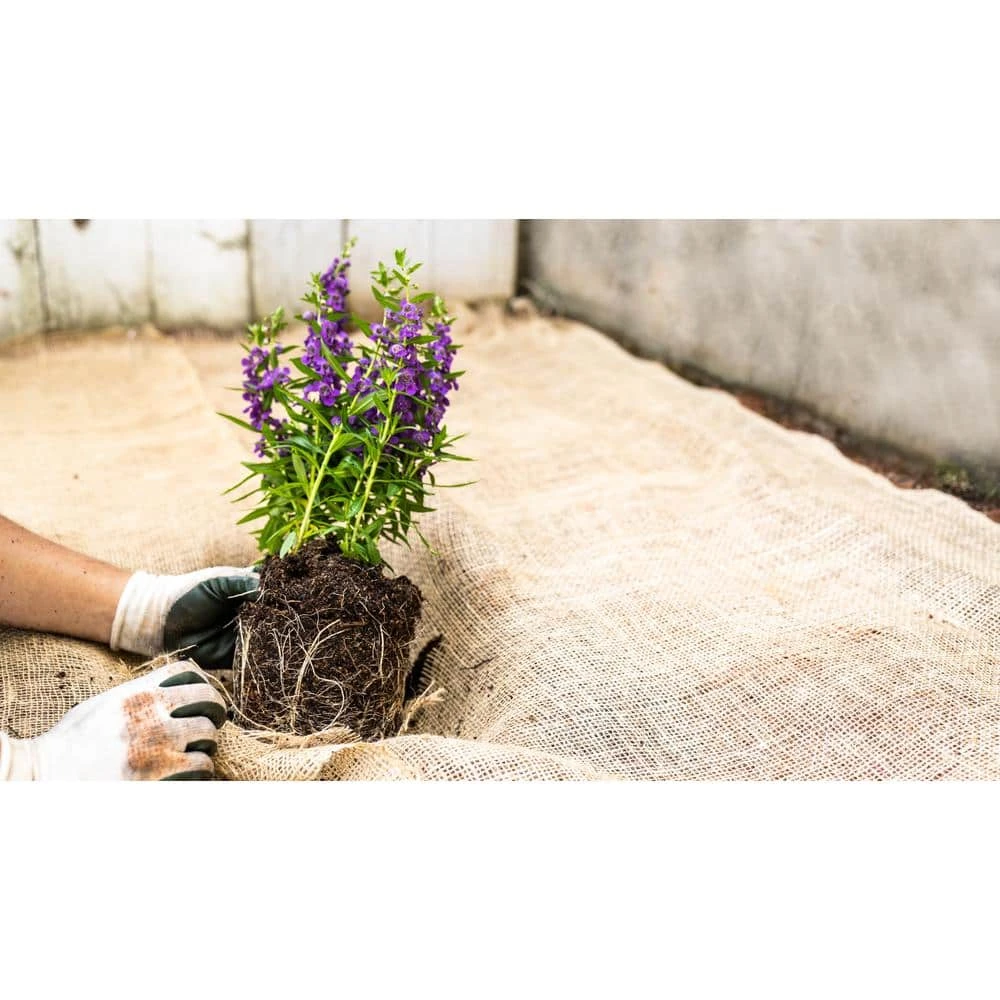 Vigoro 3 ft. x 24 ft. 100% Natural Burlap Landscape Fabric 10 Vigoro 3 ft. x 24 ft. 100% Natural Burlap Landscape Fabric - Image 8