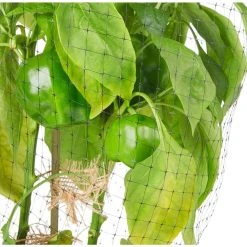 Vigoro 14 ft. x 14 ft. Polypropylene Bird Block Netting and Barrier -Vigoro sales Store vigoro landscape fabric nmvbb1414 1d 1000