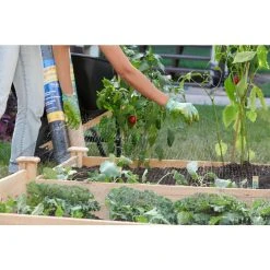 Vigoro 14 ft. x 14 ft. Polypropylene Bird Block Netting and Barrier -Vigoro sales Store vigoro landscape fabric nmvbb1414 44 1000