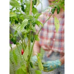 Vigoro 14 ft. x 45 ft. UV Treated Polypropylene Bird Block Netting and Barrier -Vigoro sales Store vigoro landscape fabric nmvbb1445 fa 1000