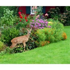 Vigoro 7 ft. x 100 ft. Polypropylene Deer Block Netting Barrier, UV Treated 13 Vigoro 7 ft. x 100 ft. Polypropylene Deer Block Netting Barrier, UV Treated -Vigoro sales Store vigoro landscape fabric nmvdb07100h 1d 1000