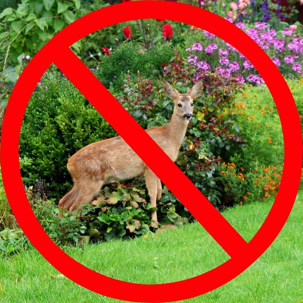 Vigoro 7 ft. x 100 ft. Polypropylene Deer Block Netting Barrier, UV Treated 9 Vigoro 7 ft. x 100 ft. Polypropylene Deer Block Netting Barrier, UV Treated - Image 7