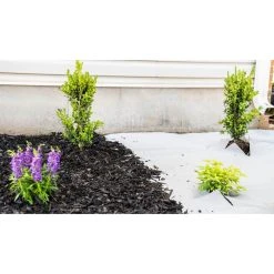 Vigoro 4 ft. x 100 ft. Matrix Grid Landscape Weed Control Fabric -Vigoro sales Store vigoro landscape fabric vpnm410085 31 1000