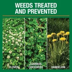 Vigoro 32 lbs. 10,000 sq. ft. Weed and Feed Weed Killer Plus Lawn Fertilizer for Florida Grass Types -Vigoro sales Store vigoro lawn fertilizers 22562 1 c3 1000