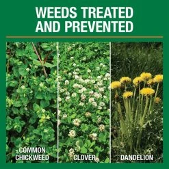 Vigoro 14.6 lbs. 5,000 sq. ft. Weed and Feed Weed Killer Plus Lawn Fertilizer -Vigoro sales Store vigoro lawn fertilizers 52210 c3 1000